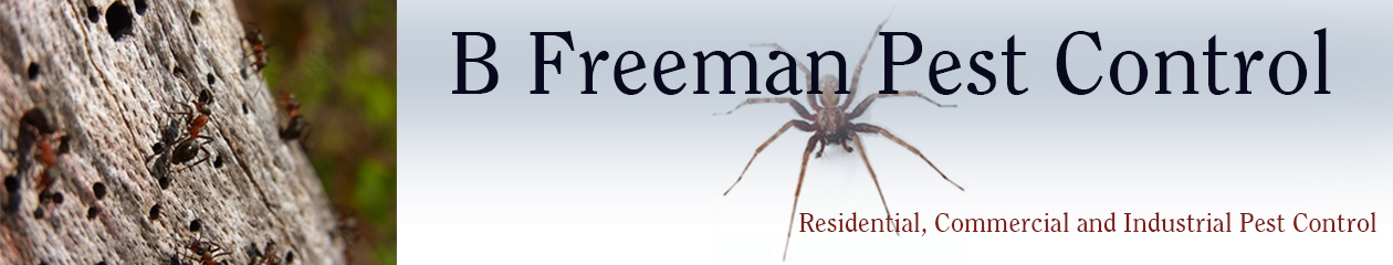 B Freeman Pest Control